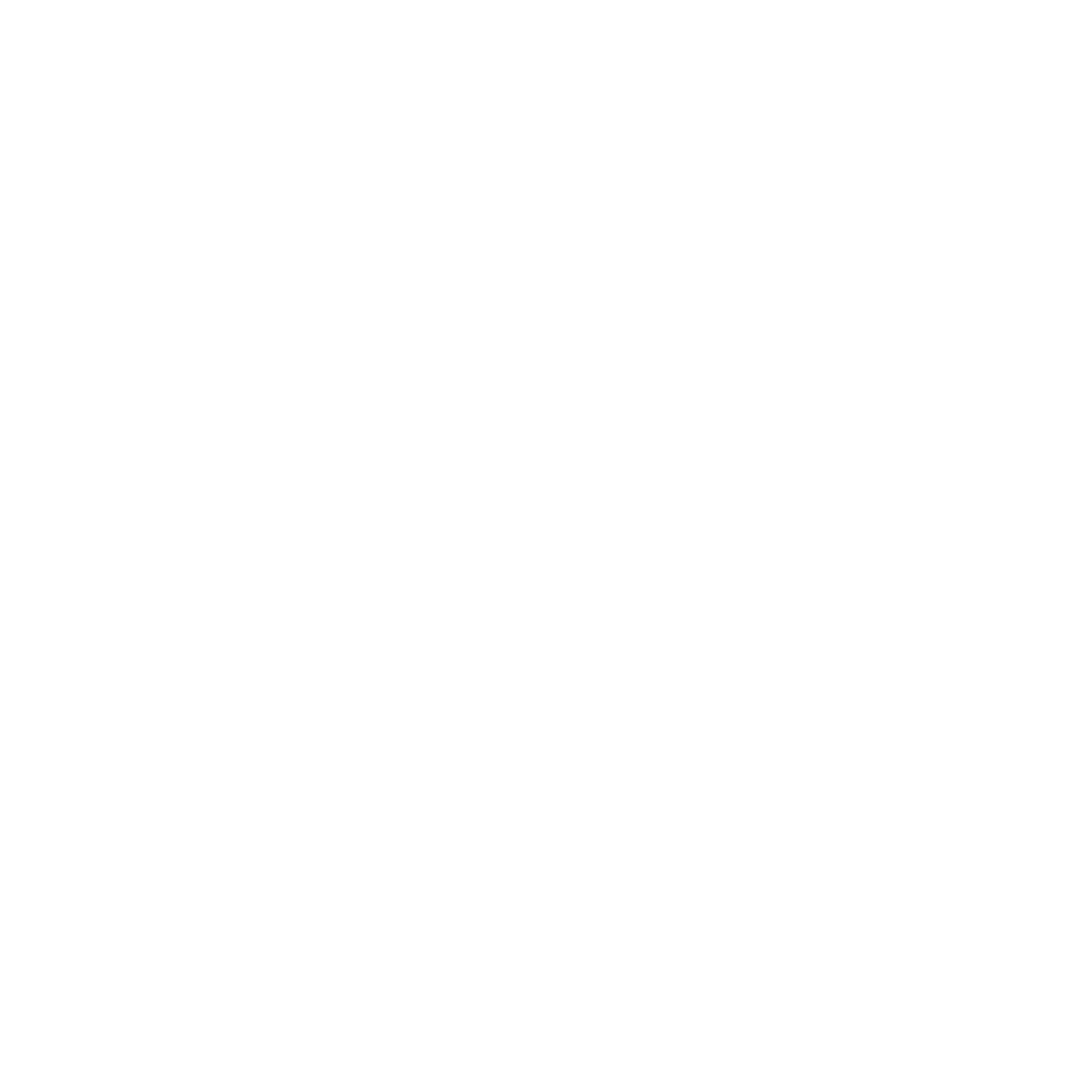 logo100B