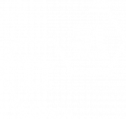 logo trend studio white